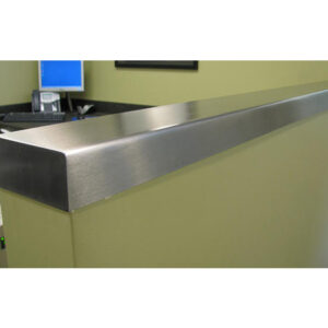 Stainless Steel Wall Protector